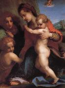 Andrea del Sarto The Virgin and Child with St. John childhood, as well as two angels Spain oil painting artist